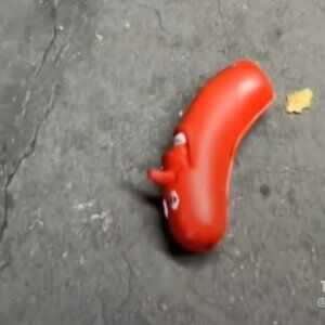 Meet your Posher, Brandyn